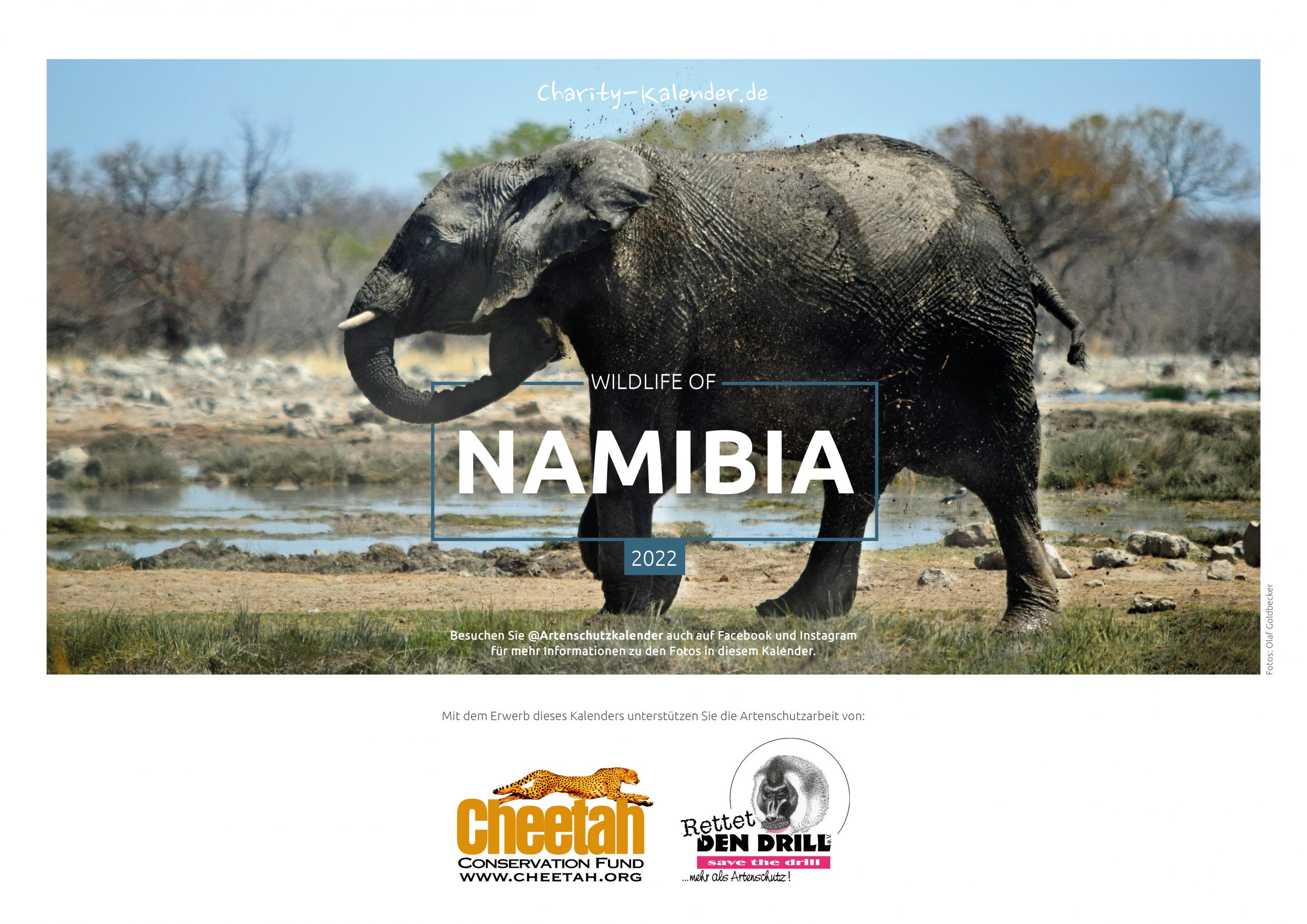 Wildlife of Namibia 2022
