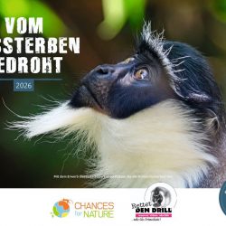 Charity Kalender "vom Aussterben bedroht 2026"